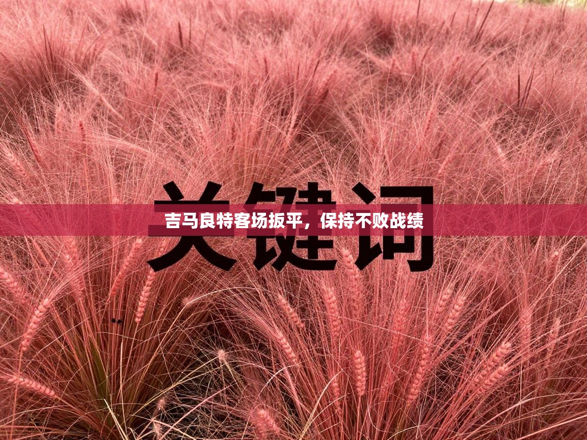 吉马良特客场扳平，保持不败战绩  第2张