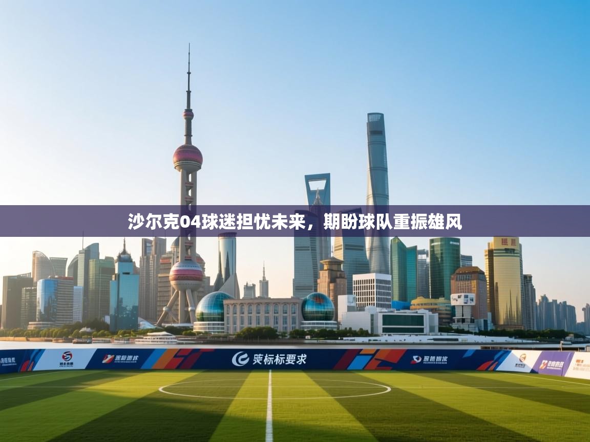 沙尔克04球迷担忧未来，期盼球队重振雄风  第2张