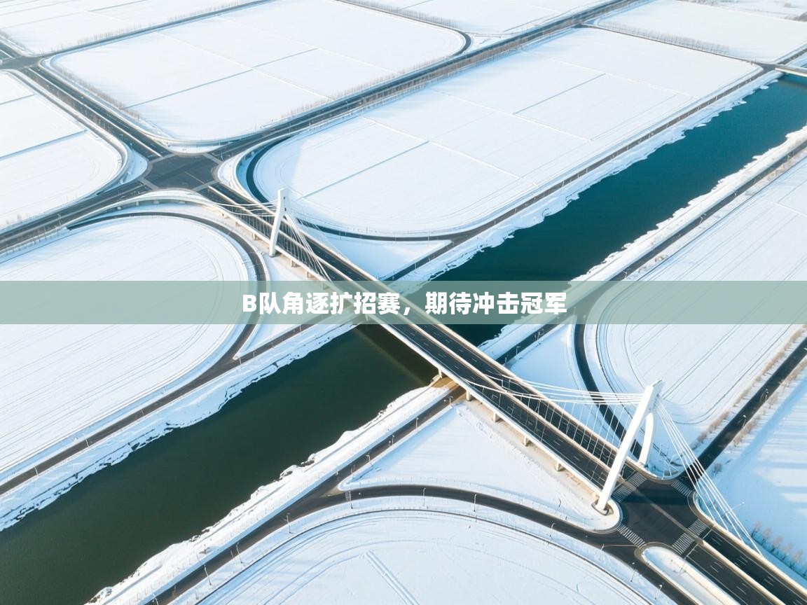 B队角逐扩招赛，期待冲击冠军