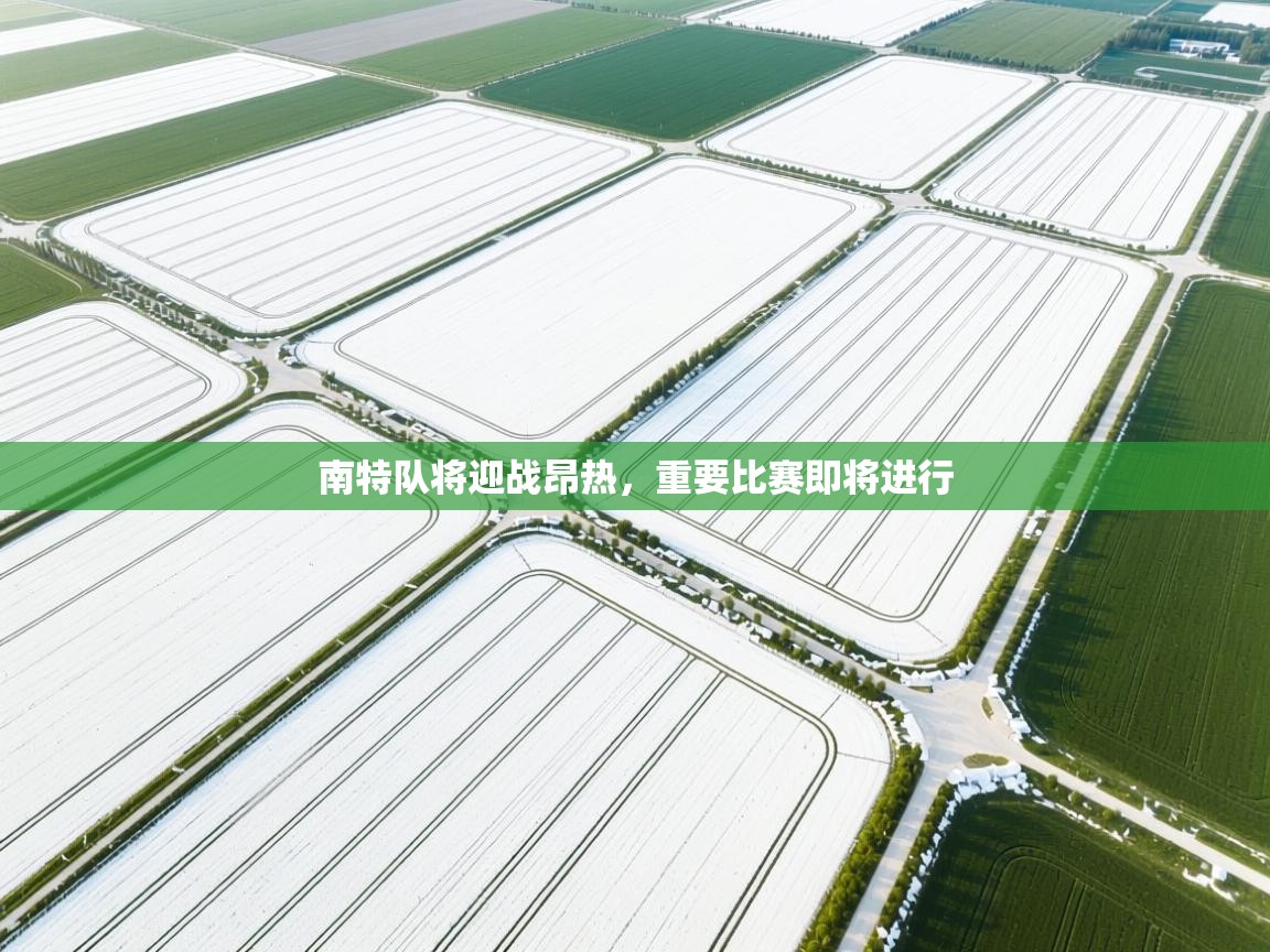 南特队将迎战昂热，重要比赛即将进行